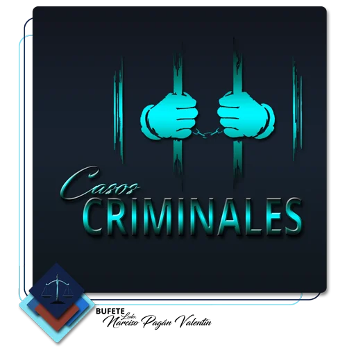 Bufete Narciso Pagan - Casos Criminales